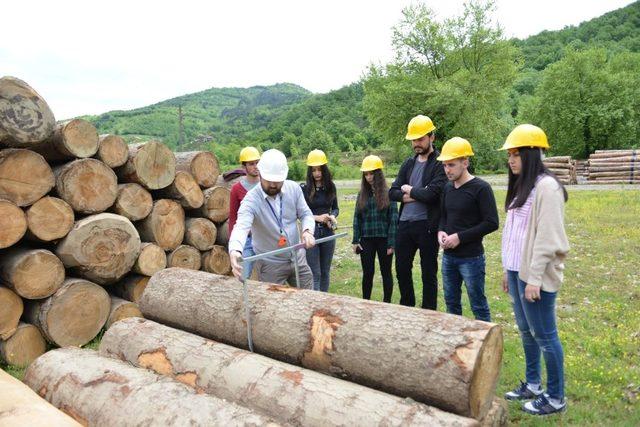 Ulus MYO ormancılık alanında bir ilki gerçekleştirdi