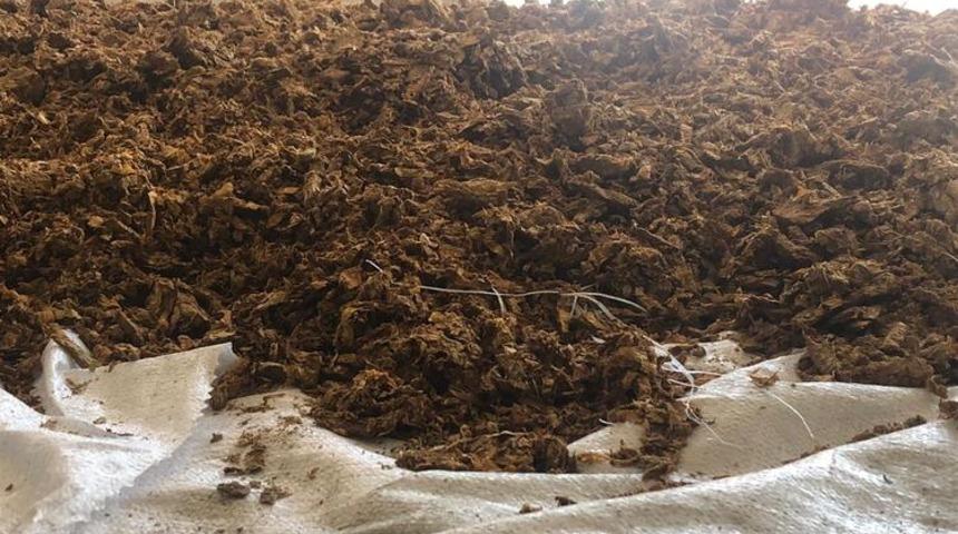 İstanbul'da ele geçirildi! Piyasa değeri 300 bin TL