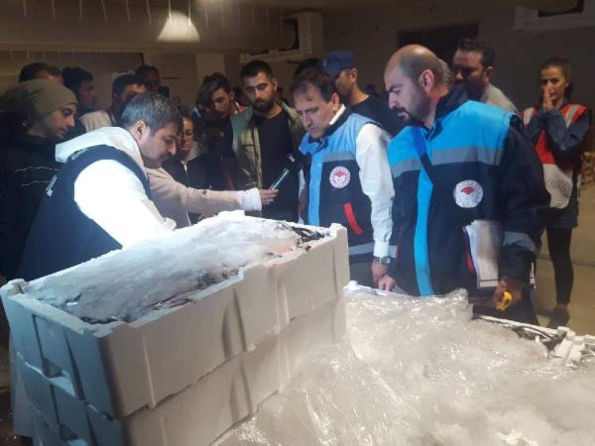 İstanbul'da dev operasyon! 2 ton balığa el konuldu