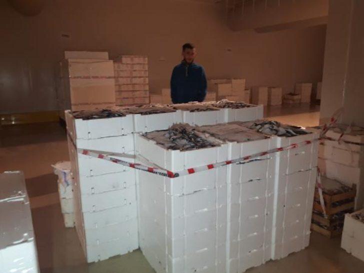 İstanbul'da dev operasyon! 2 ton balığa el konuldu G2