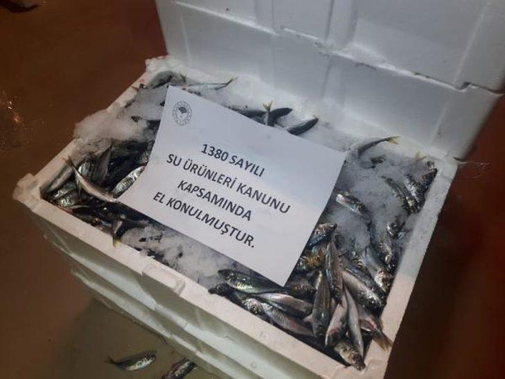 İstanbul'da dev operasyon! 2 ton balığa el konuldu G3