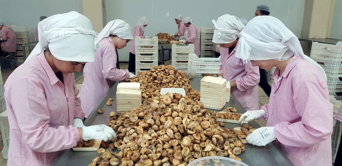 Nazilli Ticaret Borsası&rsquo;ndan Cumhurbaşkanı Erdoğan&rsquo;a incir teşekk&uuml;r&uuml;