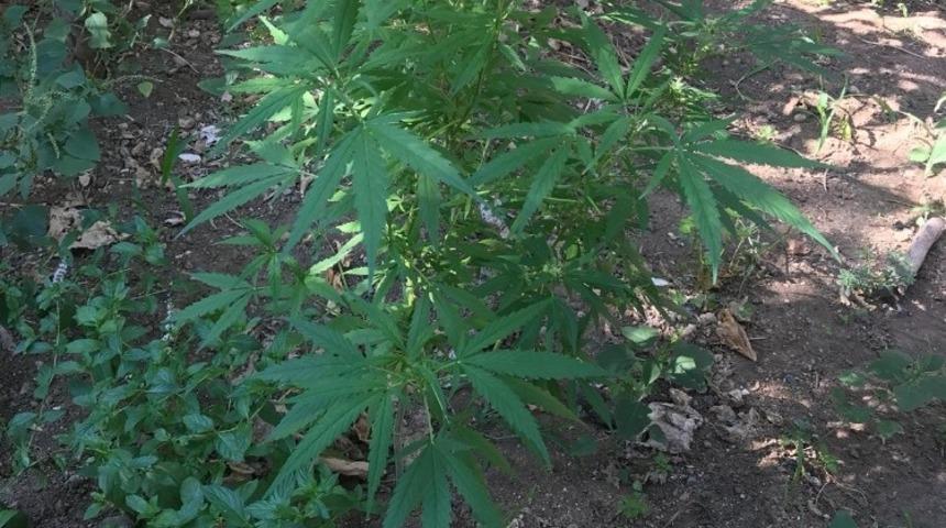 Hatay&rsquo;da uyuşturucu operasyonu