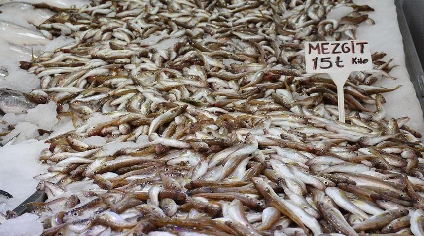 Karadeniz&rsquo;de mezgit bolluğu