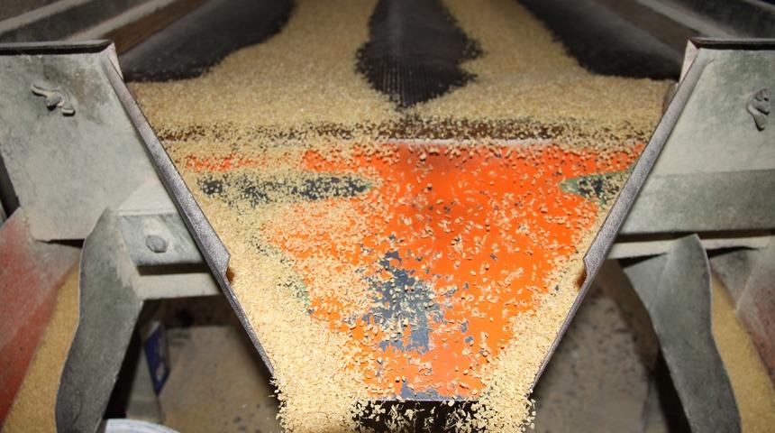 Değirmenlerde bulgur mesaisi