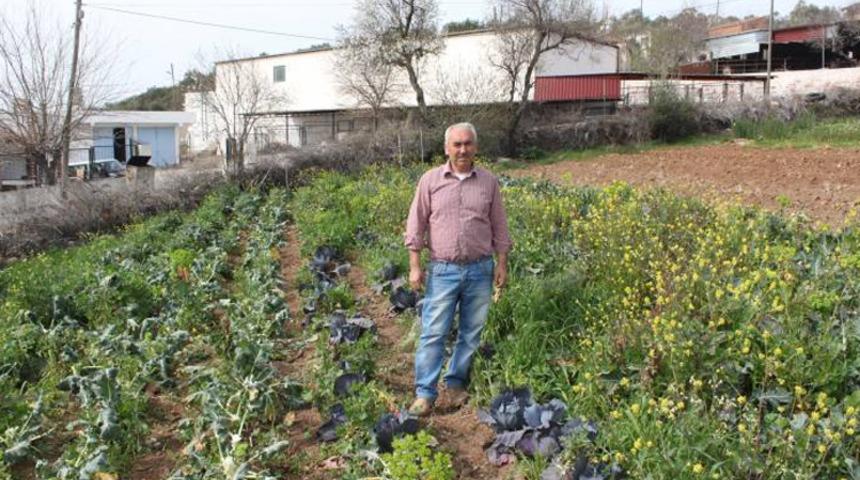 Süper Kahraman Çiftçiler: Kâr Amacı Gütmeden Doğal Tarım Yapıyorlar!