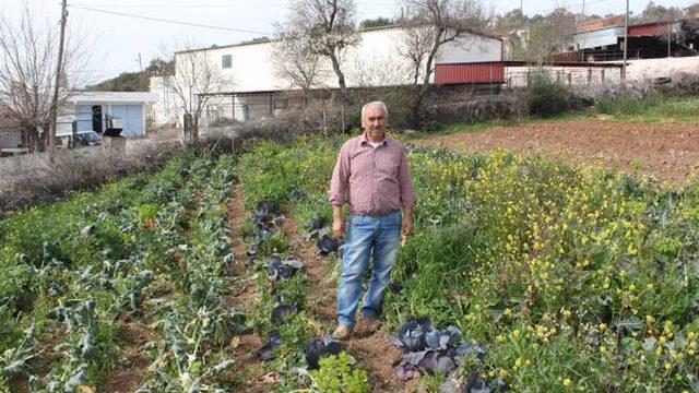 Süper Kahraman Çiftçiler: Kâr Amacı Gütmeden Doğal Tarım Yapıyorlar!