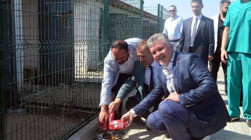 Sevgi Hareketi L&uuml;leburgaz&rsquo;ı g&uuml;zelleştiriyor