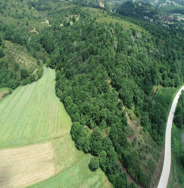 Kocaeli Valiliği: Otoyol tamamlandıktan sonra taş ocağının ruhsatı iptal edilecek 2