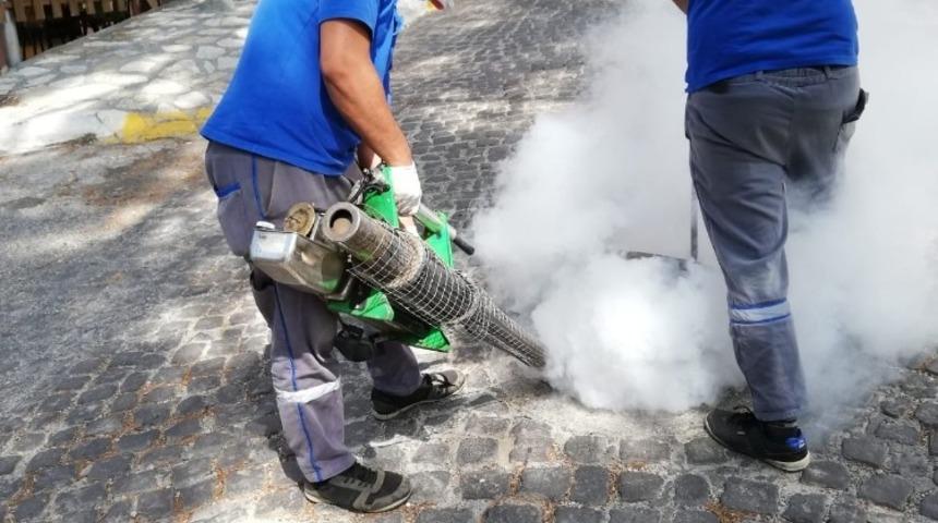 İl&ccedil;elerde haşereye ge&ccedil;it yok