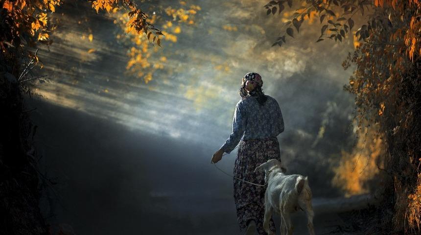 Muğla&rsquo;da yaşamı anlatan en iyi kare belli oldu
