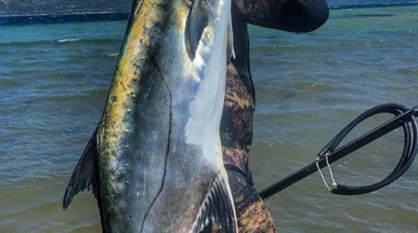 Rekortmen dalgı&ccedil;, boyu kadar balığı avladı