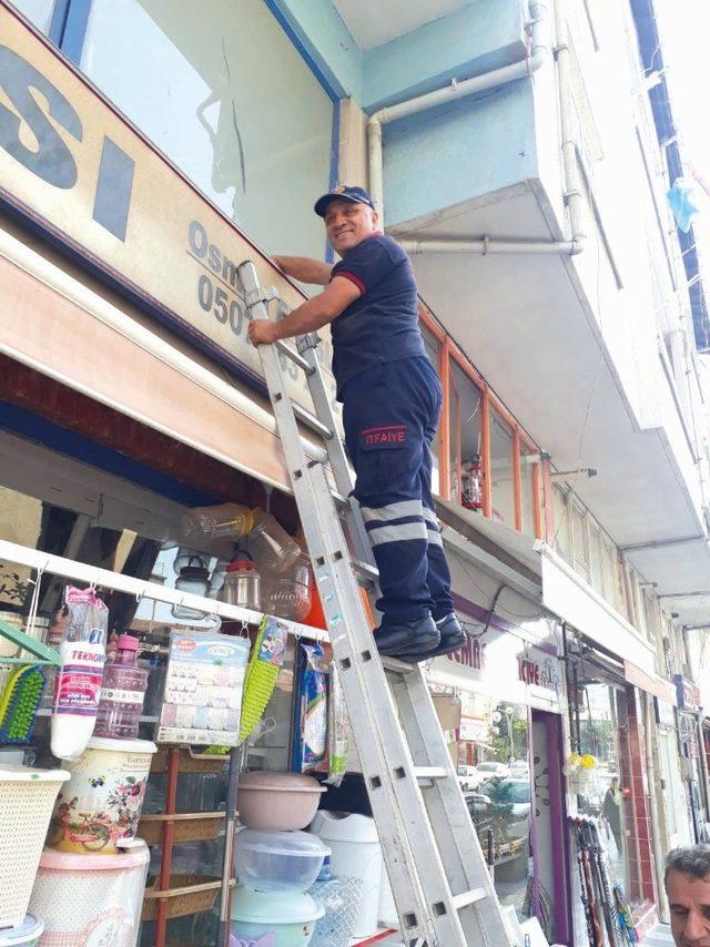 Tabelaya sıkışan güvercini itfaiye kurtardı