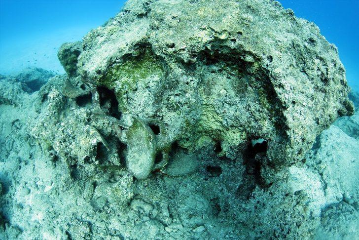 Akdeniz'in derinliklerindeki tarih: Neptün amforaları G5