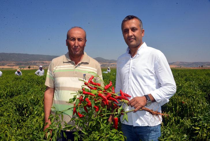 'Biber kimin' tartışmasında iki şehrin halkı konuştu   G1