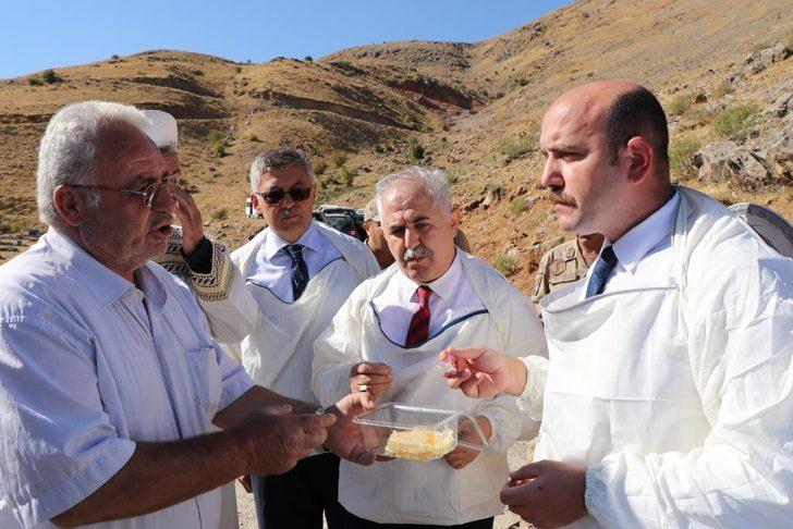 Verimli bal sezonu için şükür duasında arılar saldırdı G3