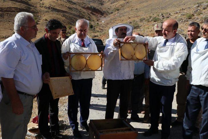 Verimli bal sezonu için şükür duasında arılar saldırdı G4