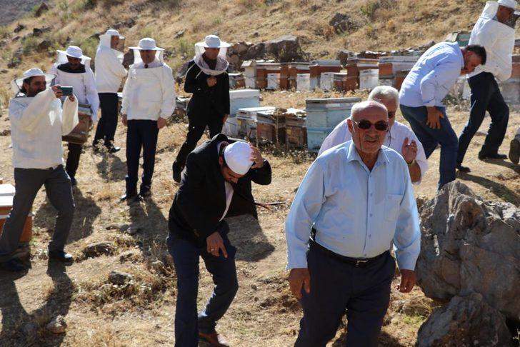 Verimli bal sezonu için şükür duasında arılar saldırdı G5