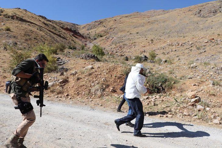 Verimli bal sezonu için şükür duasında arılar saldırdı G1