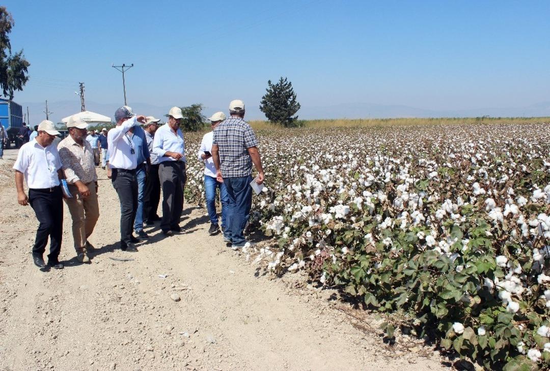 Hatay&rsquo;da &lsquo;Tarla G&uuml;n&uuml;&rsquo; etkinliği