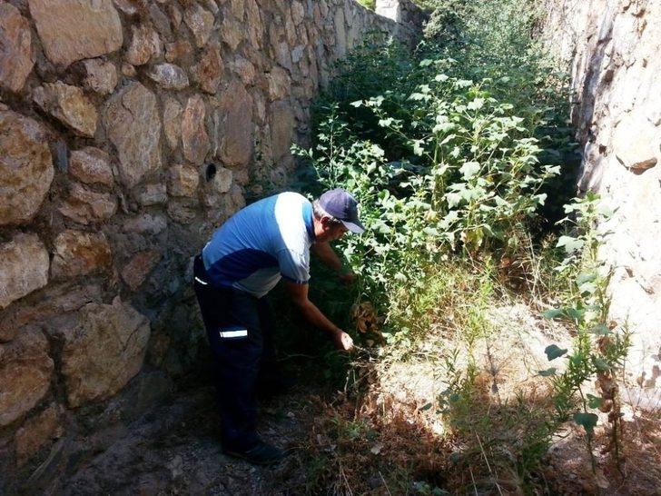 Yağışlar öncesi dere yatakları temizleniyor G3