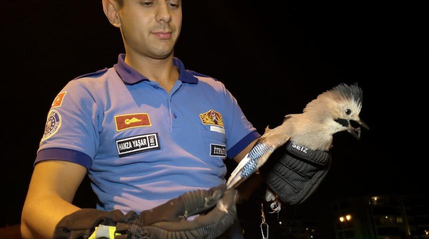 Ayağına olta iğnesi batan &Ccedil;iha kuşu tedaviye alındı