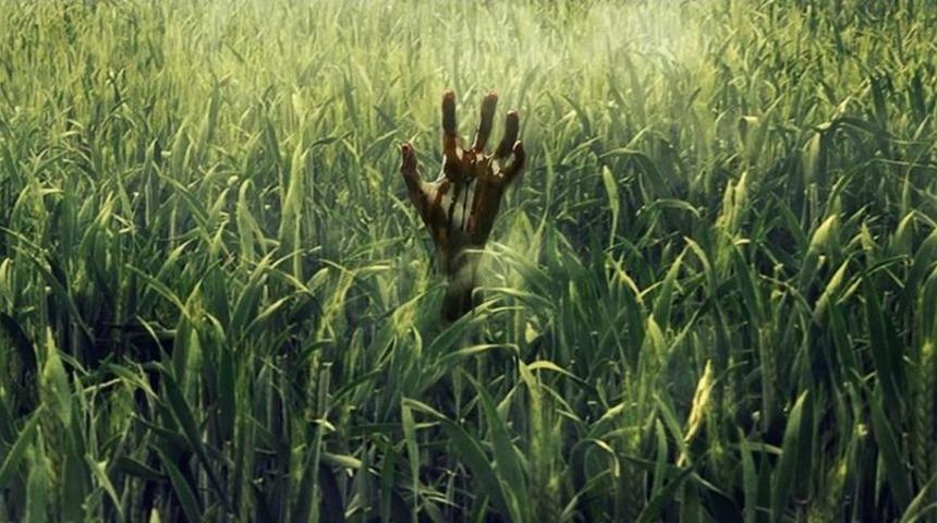 In the Tall Grass için ilk tanıtım videosu yayınlandı