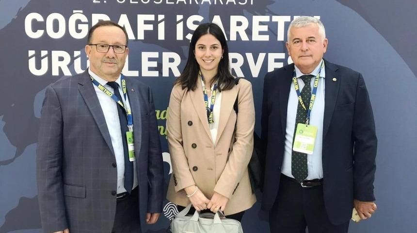 Aydın Kestanesi zirvede