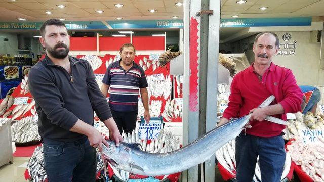 Balıkçı Oktay Yılmaz:”Kalbe iyi gelen omega 3 kaynağı hamsi, bu sene hem bol hem de iri olacak”