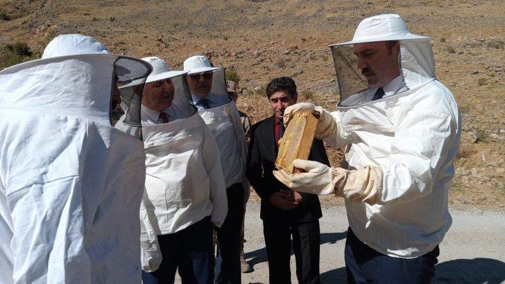 Van’da verimli bal hasadı başladı G1