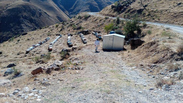 Van’da verimli bal hasadı başladı G3