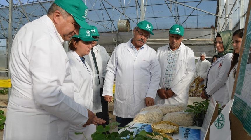 Kayseri Şeker&rsquo;den &lsquo;Keykubat&rsquo; ve &lsquo;Kayarge&rsquo; isimlerine  tescil