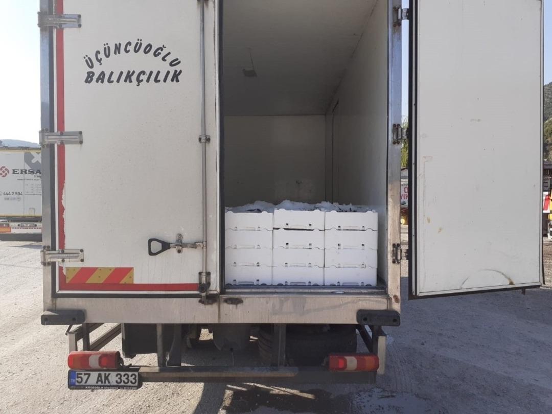 Kargı&rsquo;da 2 ton ka&ccedil;ak balık yakalandı