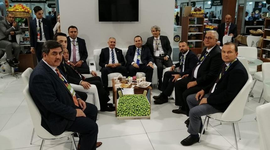 Tarsus’un "Sarıulak Zeytini" görücüye çıktı