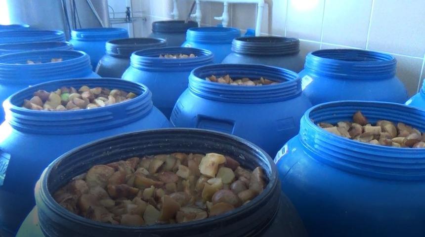 Karpuz ve kavun sirkesi ilgi odağı oldu! İşte kavun sirkesi faydaları