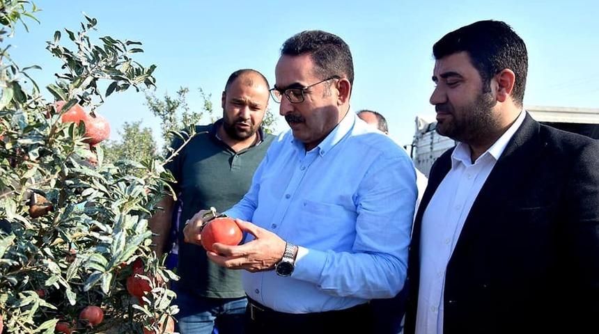 AK Parti&rsquo;li Doğru: "Pamuk &uuml;reticisi primden memnun kalacak"