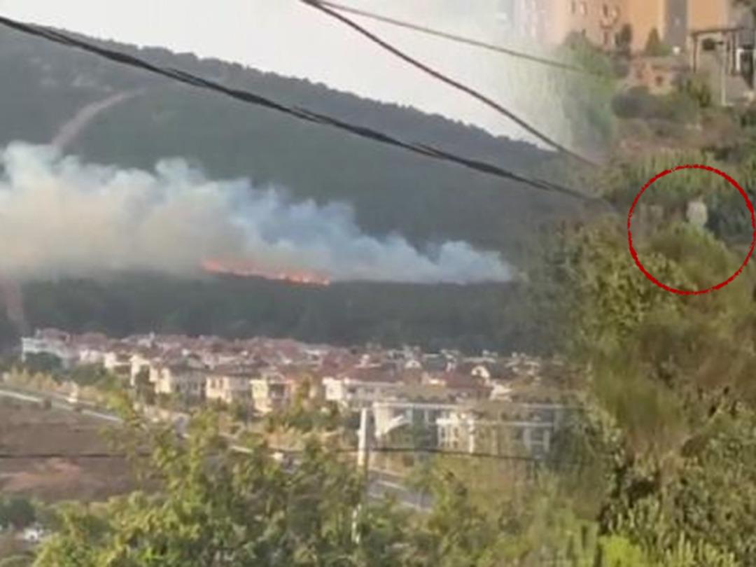 Pendik'te orman yangını &ccedil;ıkaran kişinin fotoğrafı ortaya &ccedil;ıktı! 