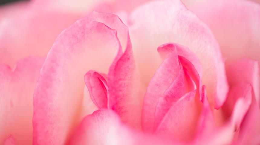 Kadınlar sosyal medyada paylaşıyor! Vajinal sağlığa emojili farkındalık