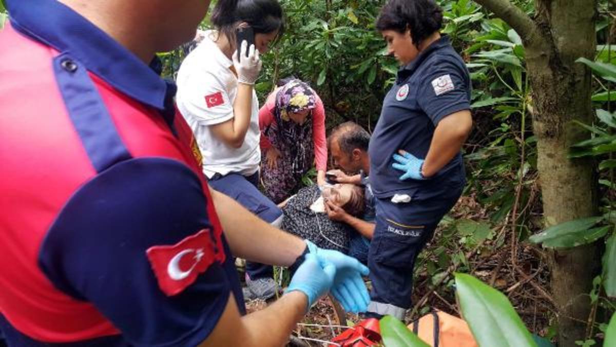 Zonguldak'ta arı sokması sonucu fenalaşan kadın hastaneye kaldırıldı