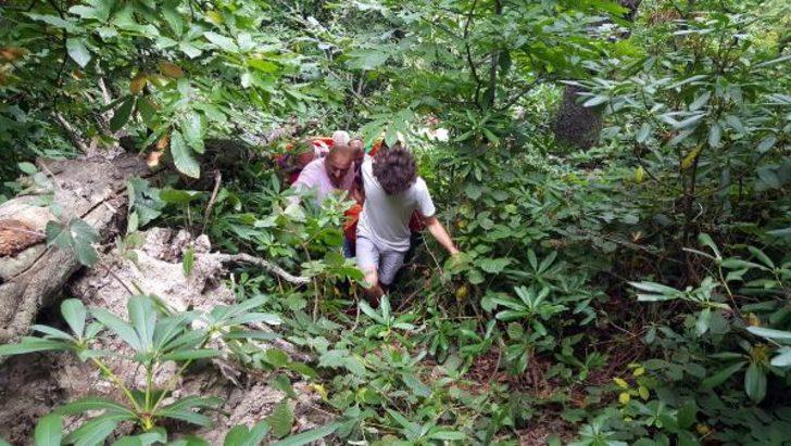 Zonguldak'ta arı sokması sonucu fenalaşan kadın hastaneye kaldırıldı G2