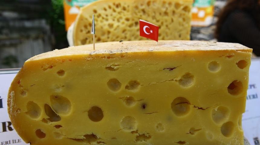 T&uuml;rkiye&rsquo;nin y&ouml;resel peynirleri Kars&rsquo;ta buluşuyor