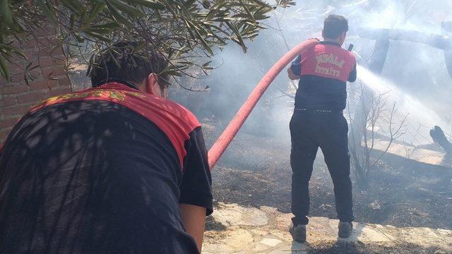 Zeytinlik alanda başlayan yangın korkuttu