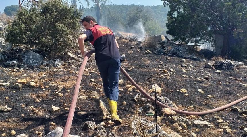 Zeytinlik alanda başlayan yangın korkuttu