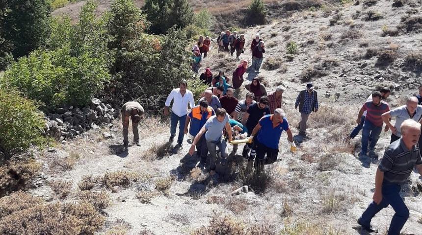 Cevizden düşen kadını bir kilometre sedyede taşıyarak ambulansa ulaştırdılar