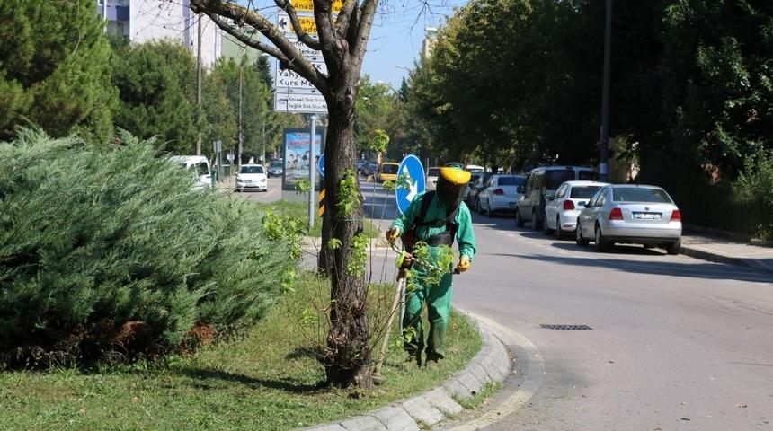 İzmit Yahya Kaptan’da yeşil alanlar tertemiz