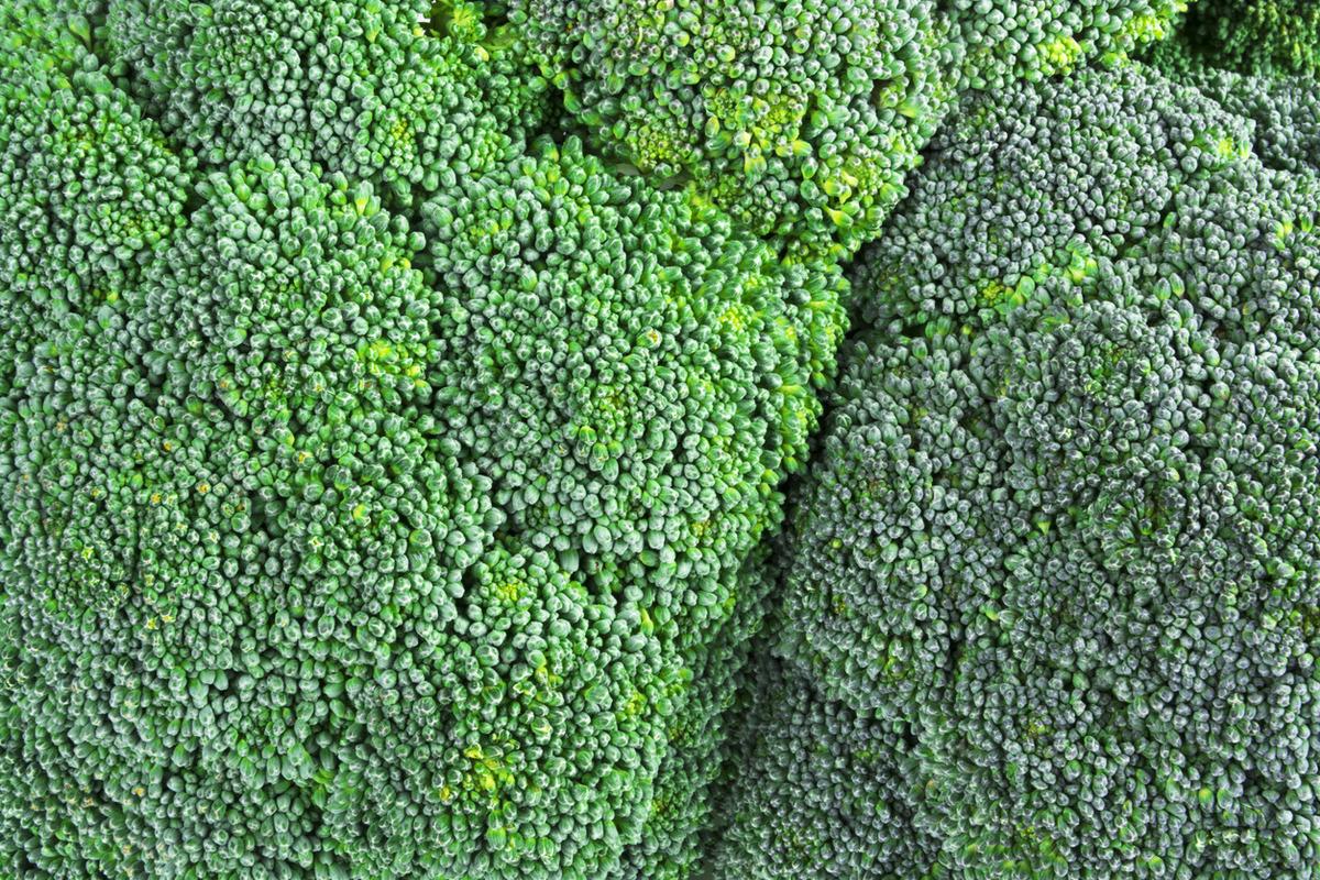 Lahanagiller ailesinin s&uuml;per g&uuml;c&uuml; brokolinin sağlığa kattığı faydalar