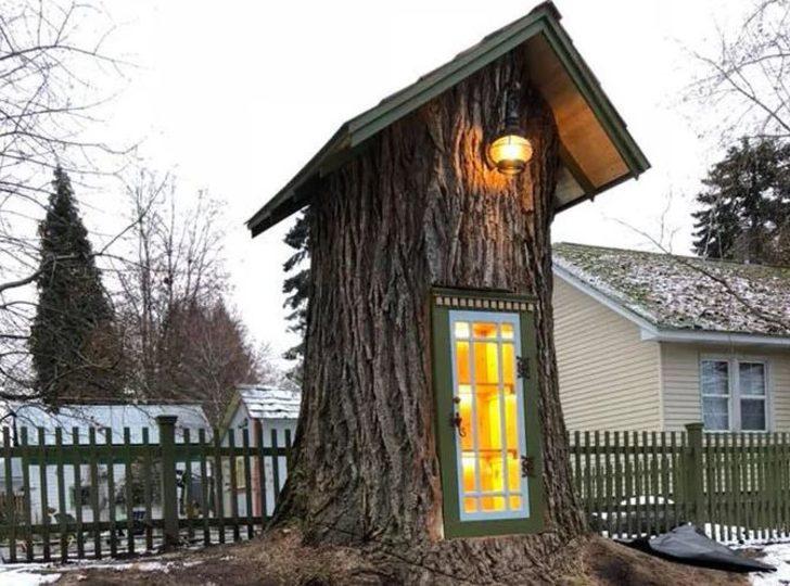 Büyüleyici sonuç! 110 yıllık ağacı öyle bir şeye çevirdi ki... G5