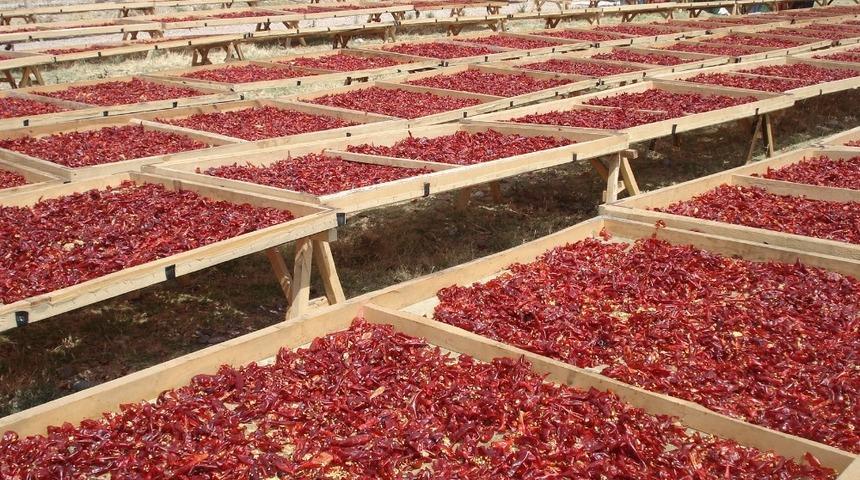 KMTSO Başkanı Zabun: &ldquo;Maraş biberi k&uuml;resel marka konumundadır&rdquo;