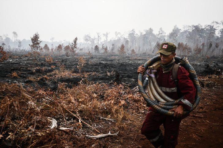 Endonezya'da 40 milyon kişi tehlikede! Orman yangınları nedeniyle hava kirliliği aşırı arttı G1