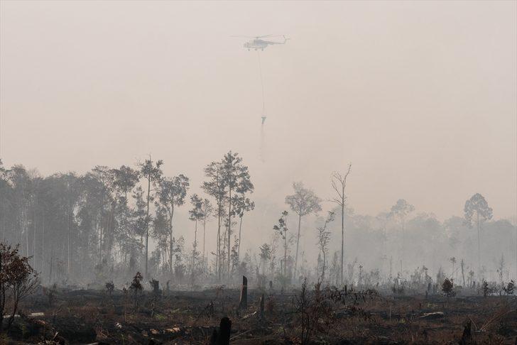 Endonezya'da 40 milyon kişi tehlikede! Orman yangınları nedeniyle hava kirliliği aşırı arttı G2
